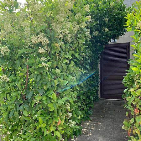 Agriturismo Tenuta Don Giovanni Melendugno Ngoại thất bức ảnh