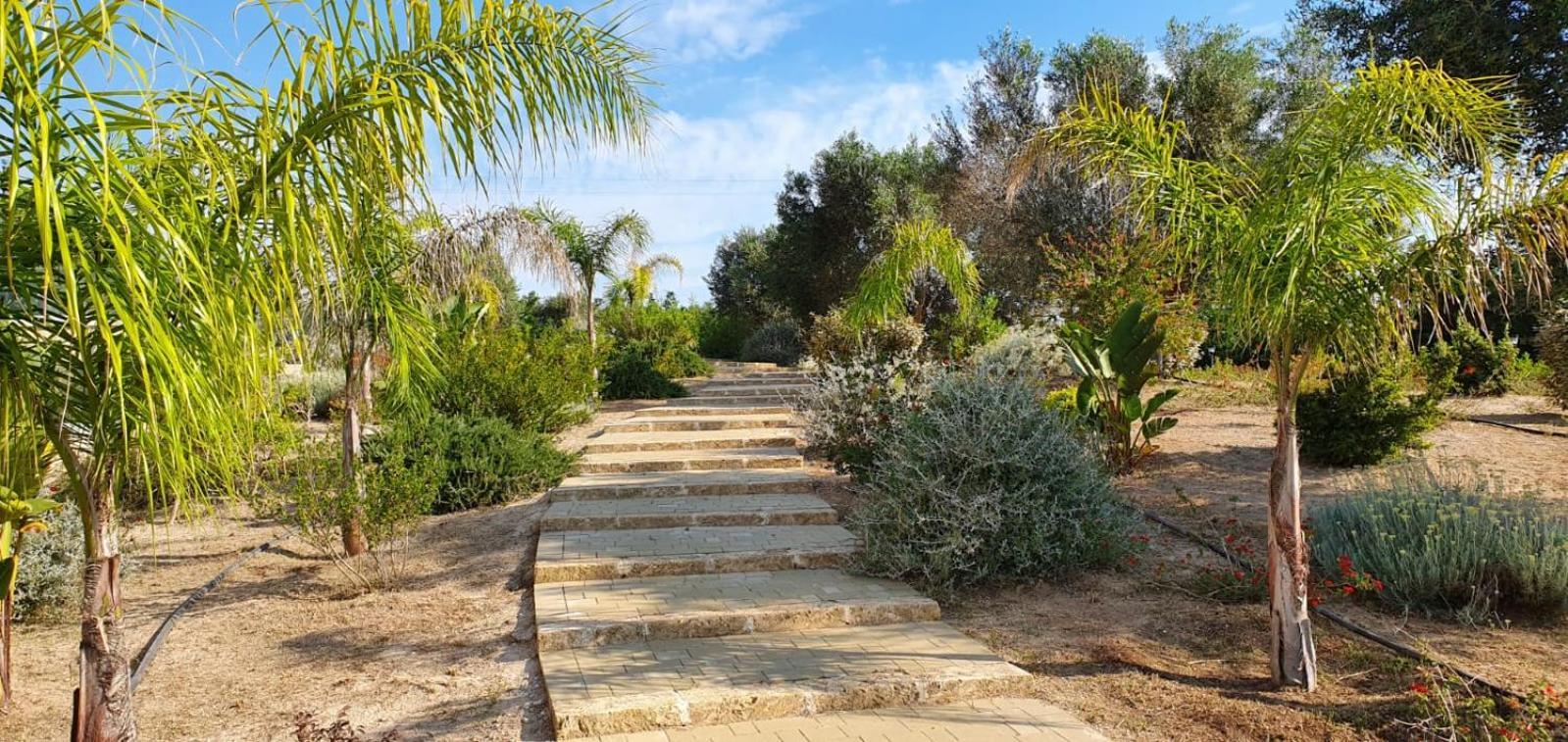 Agriturismo Tenuta Don Giovanni Melendugno Ngoại thất bức ảnh