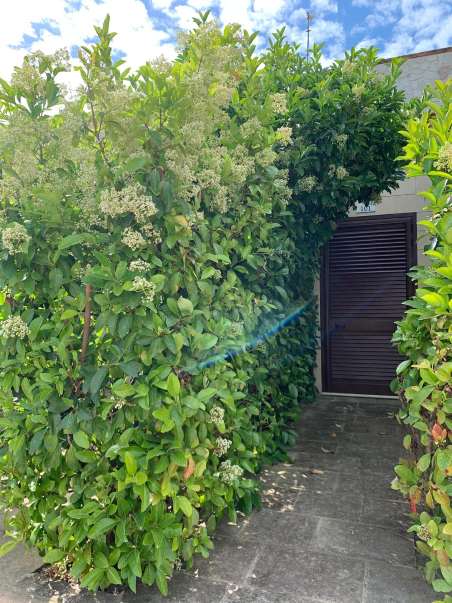 Agriturismo Tenuta Don Giovanni Melendugno Ngoại thất bức ảnh